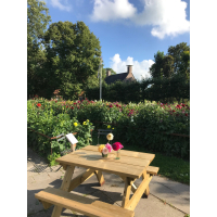 Picknicktafel Green 120 cm