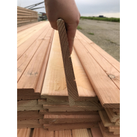 Douglas zweeds rabat 12/24 x 195 mm 400 cm