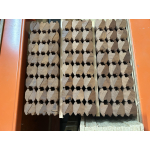 Weldorpel mahonie 34x55 mm